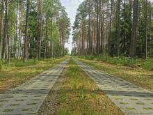 Nowy kierunek działalności – utrzymanie dróg leśnych